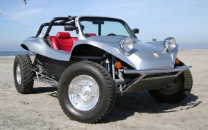 Meyers Manx Manxter Dualsport '2004